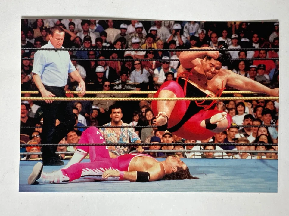 WWF Picture Card #14 Bret Hit Man Hart Yokozuna Wrestle Mania IX Titan 1990s 4X6 - Image 1 of 4