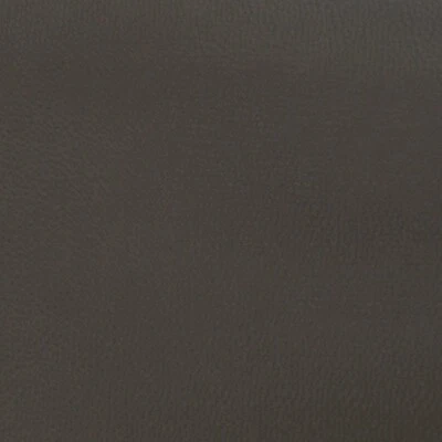 Spradling Boat 1/4 Foam Back 107513 | Gray 54 Inch Vinyl (YD) - Image 1 of 2