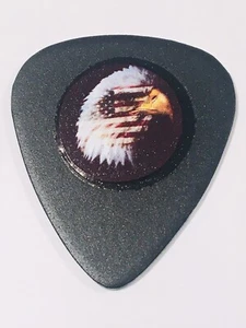 USAF Guitar Pick - Picture 1 of 2
