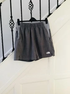 The North Face Shorts Mens Size Medium , immaculate! Lightweight with pockets - Picture 1 of 5