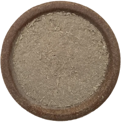 PLANTAGO Kavaa Kaava Loa Waka