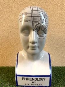 Design Toscano Porcelain Phrenology Head Divination Statue 30.5cm White - Picture 1 of 7