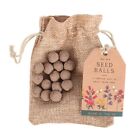 Garden Seed  24 Balls in a Bag Plant Seeds