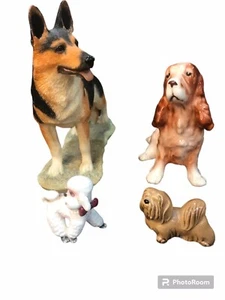 Stehender Deutscher Schäferhund 89057 English Cocker Spaniel 2502 und Sammlung - Bild 1 von 8