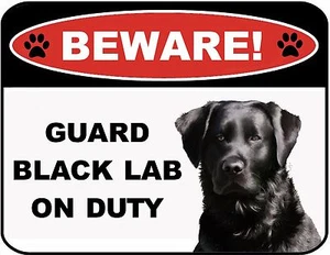 Funny Sign "Beware - Guard Black Lab on Duty" Laminated Dog Sign - Picture 1 of 2