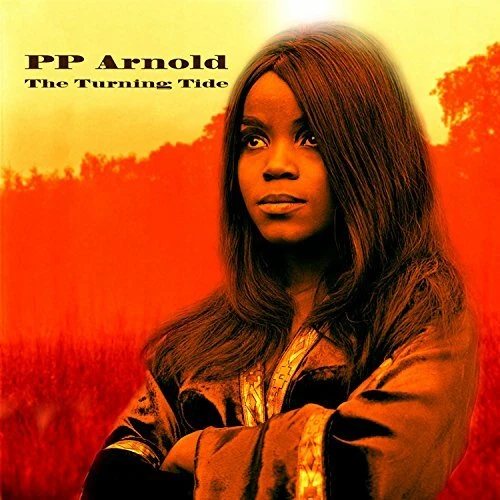 PP Arnold - The Turning Tide - PP Arnold CD TVVG FREE Shipping - Bild 1 von 1