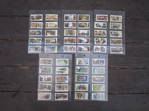 WILLS CIGARETTE CARDS "AIR RAID PRECAUTIONS" FULL SET (50) NEW IN PASTIC SLEEVES - Picture 1 of 11