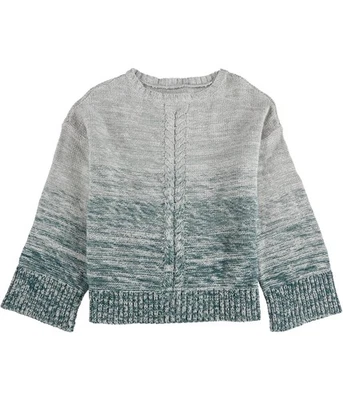 Suéter suéter Style & Co. trenzado jaspeado para mujer, verde, mediano Foto 1 de 2