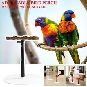 Stable Bird Parrot Training Exercise Adjustable Playstand Cage.'' K1E5