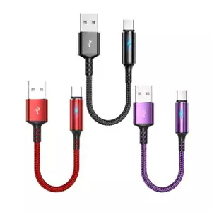 1pcs 25cm Type-C Fast Charging Data Sync Charger Cable 2024 - Picture 1 of 18