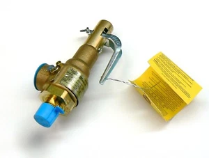Steamer Safety Valve 100 PSI Conbraco Part Steam Pressure Release Valve 1/2" NPT - Picture 1 of 6