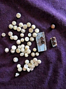 Lot of 59 Vintage Mother of Pearl Shank Buttons,3/16"-5/16" Baby,Doll,Black Lip - Picture 1 of 2