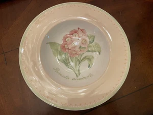 Villeroy & Boch FLOREA FLORIS Rim Soup - Picture 1 of 3