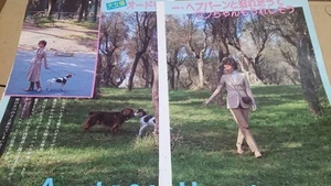 Hepburn, Alain Delon [Caminando con el perro] + Bonus Below Stallone] Instrucción - Imagen 1 de 3