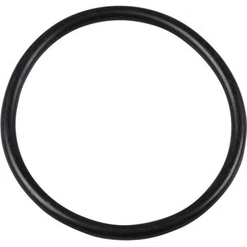Gasket for fuel tank sender for AUDI VW  113919131A - Image 1 of 1