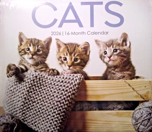 2026 CATS & KITTENS 16 MONTH WALL CALENDAR HOME OFFICE ORGANIZER GIFT FREE S/H! - Picture 1 of 3