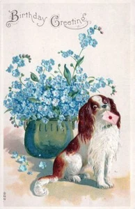 BIRTHDAY - Dog Holding Card Birthday Greeting Postcard - Bild 1 von 2