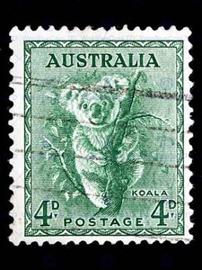 STAMP AUSTRALIA KOALA ANIMAL PHOTO ART PRINT POSTER PICTURE BMP1740B - Picture 1 of 2