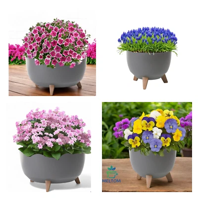 Blumentopf mit Füßen Übertopf Schale sehr DEKORATIV 5 Farben 5 Größen - Bild 1 von 4