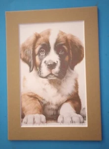 Impresión de pintura de un perro cachorro de San Bernardo de 5" x 7" mate de 4" x 6" - Imagen 1 de 3