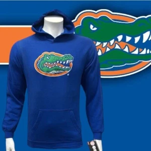 University of Florida Gators Hooded Pullover Sweatshirt Hoodie Youth Large 14/16 - Picture 1 of 12