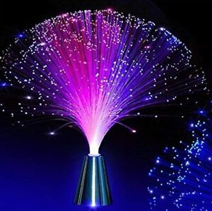 LED Fibre Optic Lamp Sensory Colour Changing Colorful Crystal Light Xmas Decor