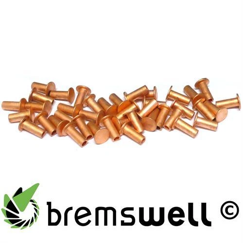 BREMSWELL 100 Nieten Niete 4x12mm DIN 7338B für Bremsbelag Bremsbeläge