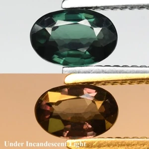 💎 0.32ct VVS Oval Natural Color Change Garnet - Unheated, Madagascar Gem - Imagen 1 de 6