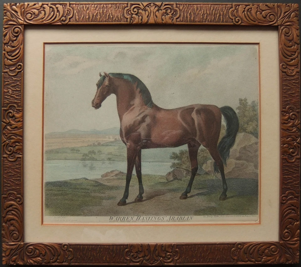 George Stubbs "Warren Hastings Arabian" old print - Image 1 of 1