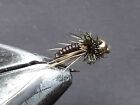 1 DOZEN TUNGSTEN HEAD CHOCOLATE BROWN NYMPHS FOR FLY FISHING-TUNG 194