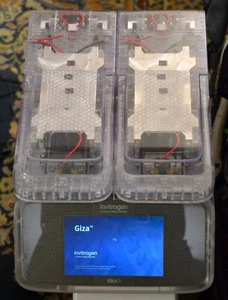 iBlot 3 Giza Invitrogen Western Blot Protein Transfer System Thermo Fisher - Picture 1 of 7