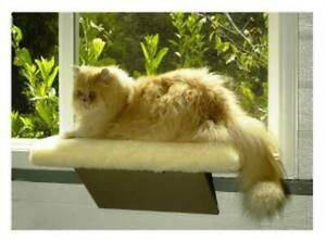 Casual Pet Products Deluxe Window Perch
