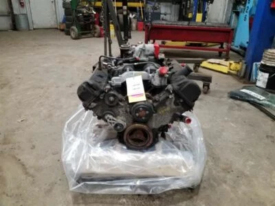 Engine 4.6L VIN W 8th Digit Gasoline Romeo Fits 01 CROWN VICTORIA 248379 — 第 1/4 张图片