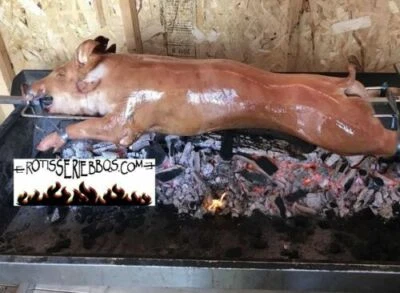 ROTISSERIE BBQS INC HEAVY DUTY 6 rpm 200 lb ROTISSERIE MOTOR (only) For PIG / LAMB