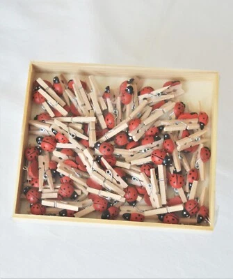 Mini Holz-Klammer Natur 70 Stück mit Käfer Clip Deko-Klammer mini Wäscheklammer - Bild 1 von 4