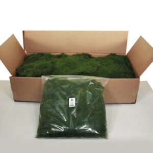Vickerman Box Green Moss, Sheet - 6.6 Lb.Bulk Case, Preserved