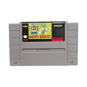 Tiny Toon Adventures Buster Busts Loose Super Nintendo SNES Game Tested Working! - Picture 1 of 6