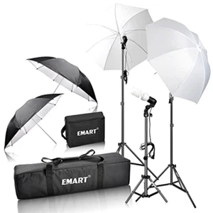 600W Photography Photo Video Portrait Studio Day Light Umbrella Lighting Kit Pro - Picture 1 of 12