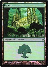 MTG - Ravnica: City of Guilds - Forest #305 - Foil - Various conditions