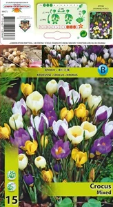 @ (◕‿◕)\\@ Crocus Krokus " Wildkrokus Mix " - Bild 1 von 1