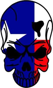 Calcomanía de vinilo de 5" Skull Texas TX calaveras brillo coche camión pegatina - Imagen 1 de 1