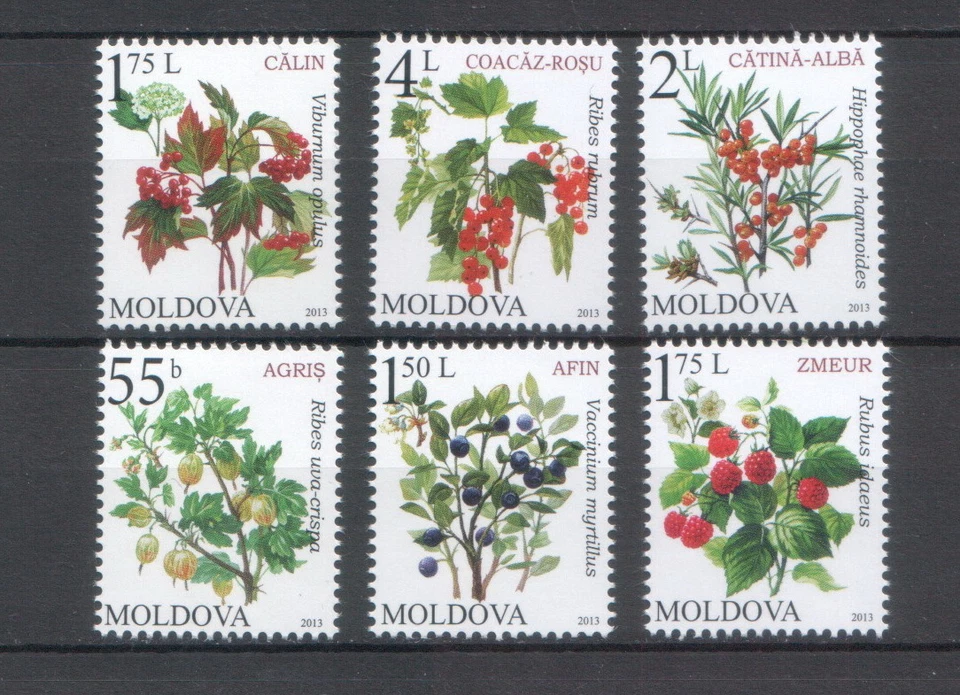 Moldova 2013 Berries 6 MNH stamps - Image 1 of 1