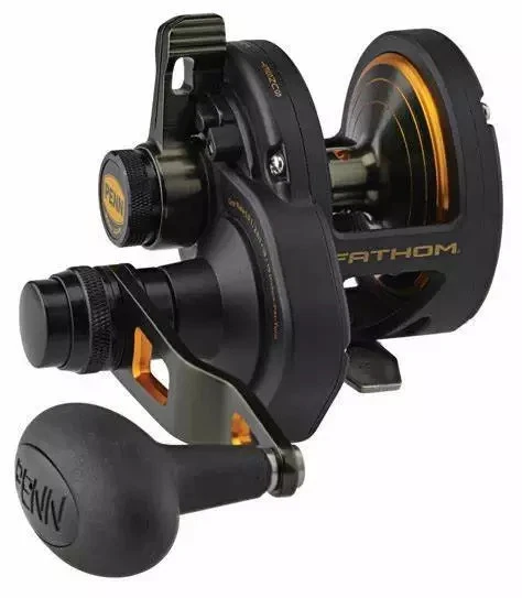Carrete superior Penn FATHOM LEVER DRAG FTH40NLD + publicación gratuita  Foto 1 de 1