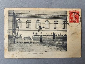 CPA / Carte postale ancienne - SAUMUR - Voltige (49) - Picture 1 of 12