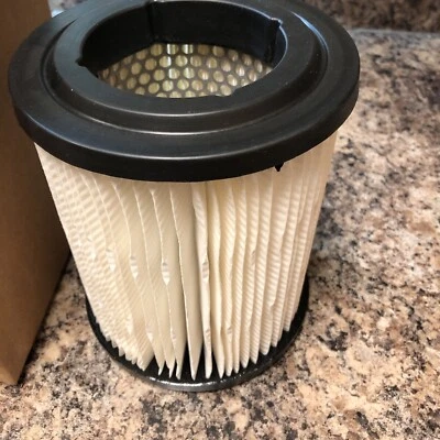 Casite CFA1134 / 17220PHB003 Acura, filtro de aire del motor Honda! Envío gratis Foto 1 de 4