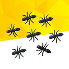  50 Pcs Große Ameise Lebende Ameisen Tierfiguren-Spielzeug Halloween Decor