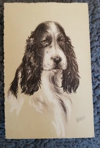 Boceto postal Suiza firmado por artista R.F Gaulis COCKER SPANIEL #121 - Imagen 1 de 8