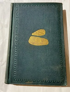 Geological Evidences of Antiquity of Man - Charles Lyell - 2nd US edition 1863 - Foto 1 di 6