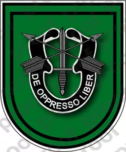 PEGATINA U S EJÉRCITO FLASH 10TH S GRUPO DE FUERZAS ESPECIALES NUEVA - Imagen 1 de 2