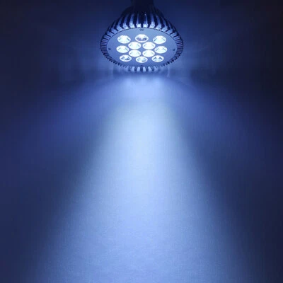 36W Cold White 10000K~15000K PAR38 LED Lamp Spot Light Bulb for Plant Aquarium - Image 1 of 4